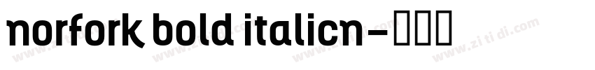 norfork bold italicn字体转换